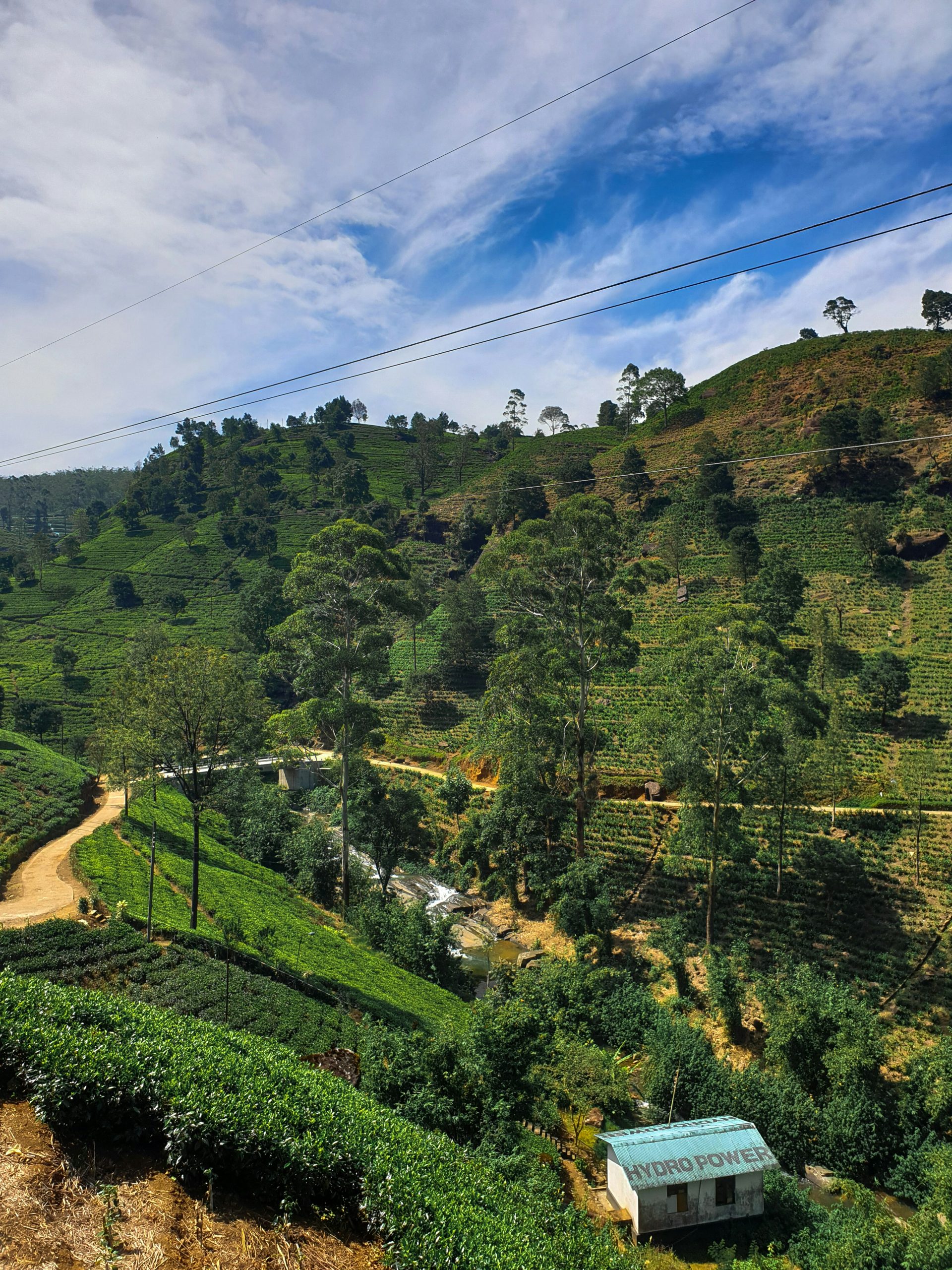 Ceylon tea People choiced since 1842